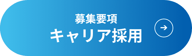 募集要項 キャリア採用